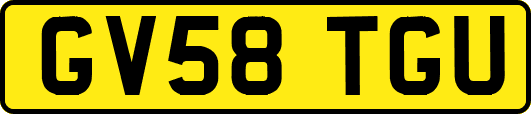 GV58TGU