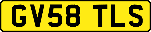 GV58TLS