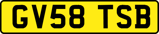 GV58TSB