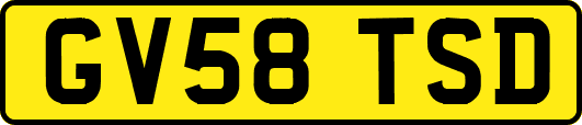 GV58TSD
