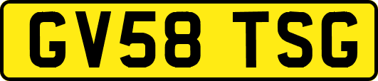 GV58TSG