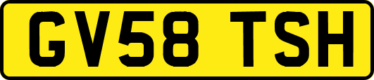 GV58TSH