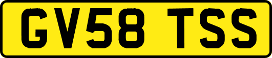 GV58TSS