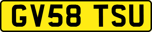 GV58TSU