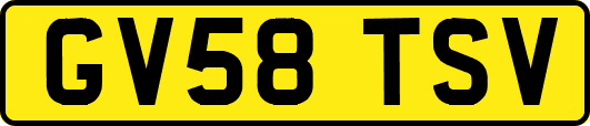 GV58TSV