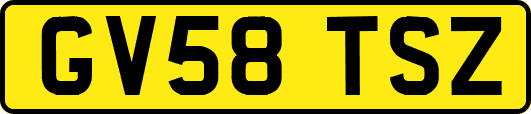GV58TSZ