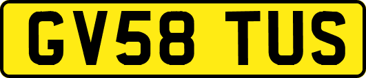 GV58TUS