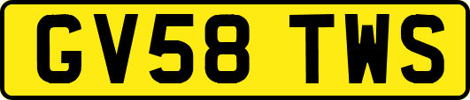 GV58TWS