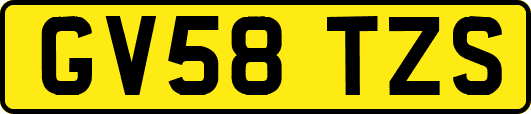 GV58TZS