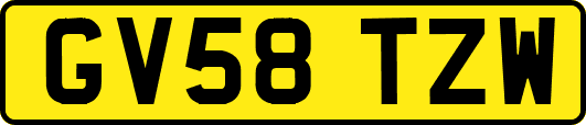 GV58TZW