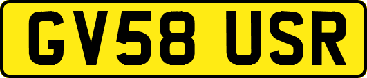 GV58USR