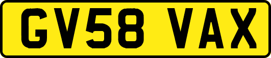 GV58VAX