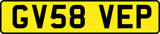 GV58VEP
