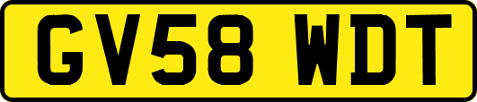 GV58WDT