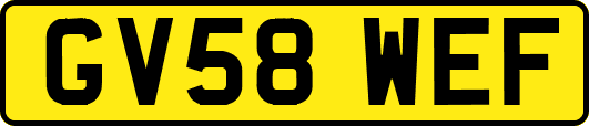 GV58WEF
