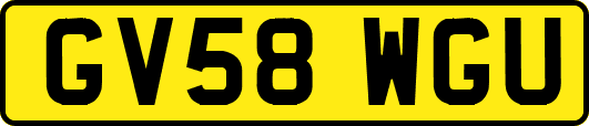 GV58WGU
