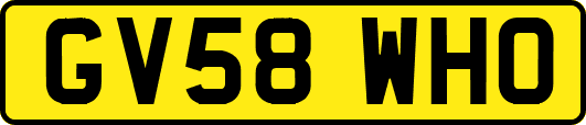 GV58WHO