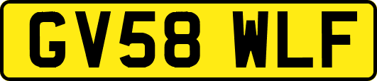 GV58WLF