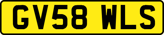 GV58WLS