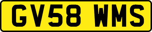 GV58WMS