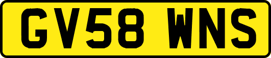 GV58WNS