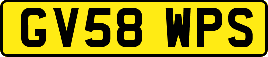 GV58WPS