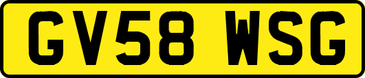 GV58WSG