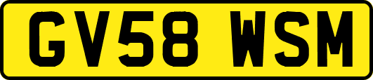 GV58WSM