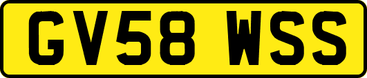 GV58WSS