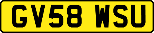 GV58WSU