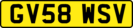 GV58WSV