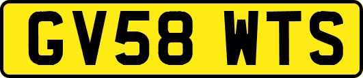 GV58WTS