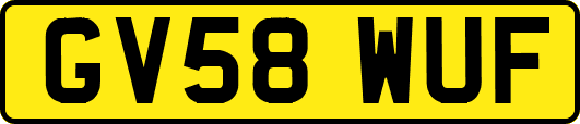 GV58WUF