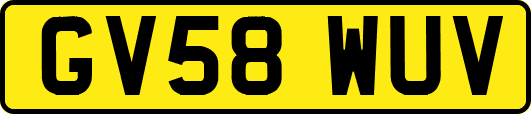 GV58WUV