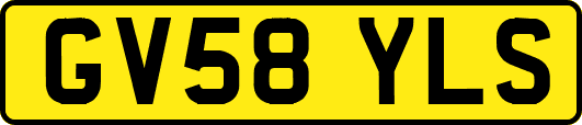 GV58YLS
