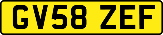 GV58ZEF