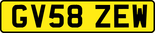 GV58ZEW