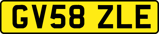 GV58ZLE