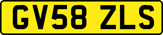 GV58ZLS