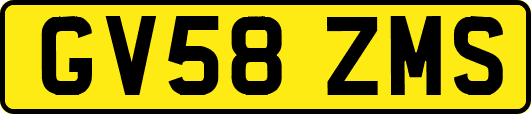 GV58ZMS