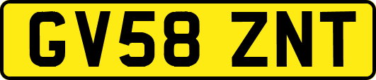 GV58ZNT