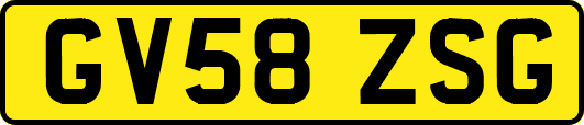 GV58ZSG