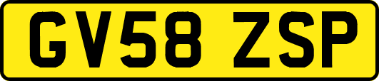 GV58ZSP