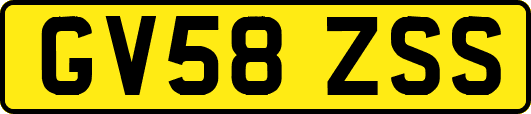 GV58ZSS