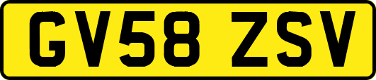 GV58ZSV