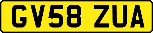 GV58ZUA