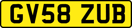 GV58ZUB