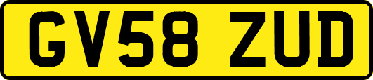 GV58ZUD