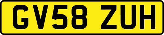 GV58ZUH