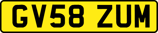 GV58ZUM